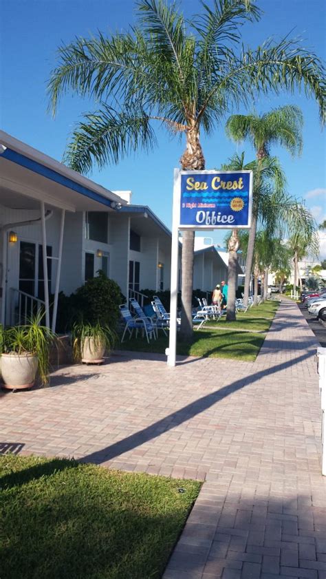 Sea crest on siesta key. Things To Know About Sea crest on siesta key. 